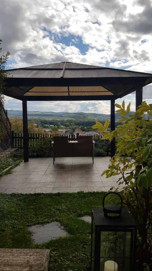 Blick Ueber Krems Mit Gartenpavillon エクステリア 写真