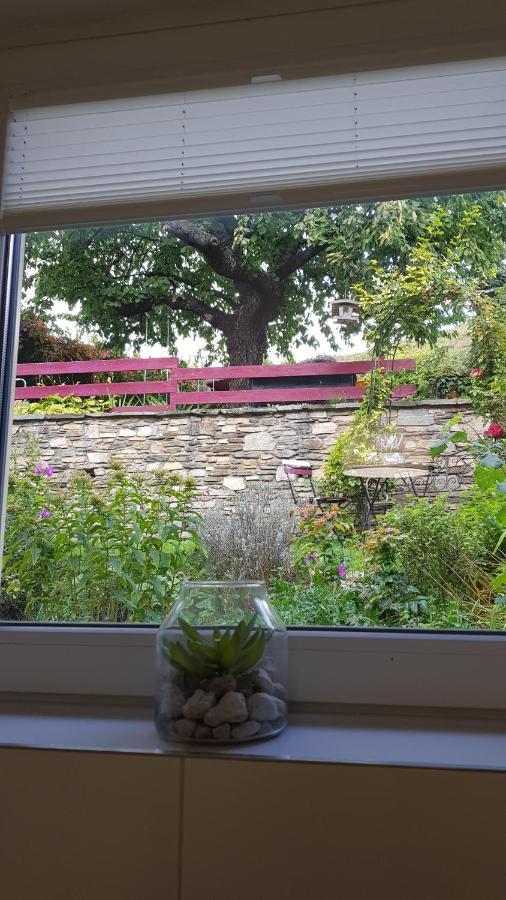 Blick Ueber Krems Mit Gartenpavillon エクステリア 写真