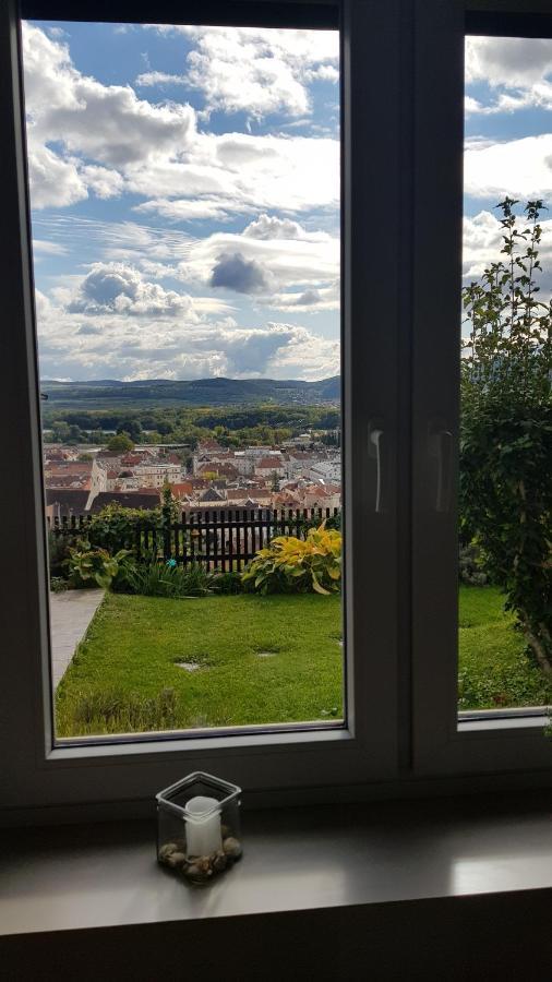 Blick Ueber Krems Mit Gartenpavillon エクステリア 写真